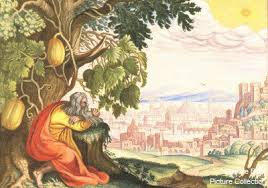 Mercy to Nineveh